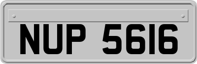 NUP5616