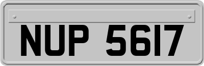 NUP5617