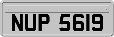 NUP5619