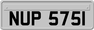 NUP5751