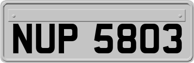 NUP5803