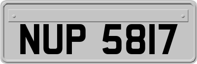 NUP5817
