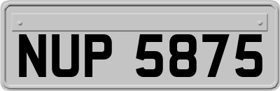 NUP5875