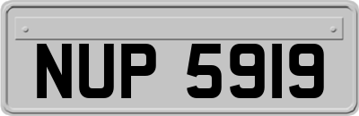 NUP5919