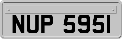 NUP5951