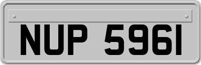 NUP5961