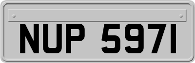 NUP5971