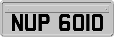NUP6010