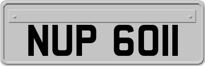 NUP6011