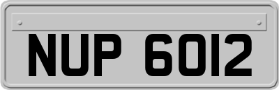 NUP6012