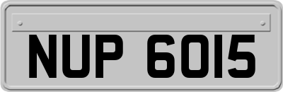 NUP6015