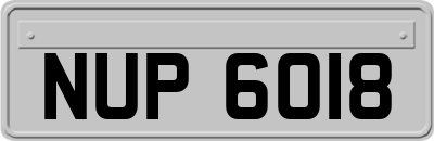 NUP6018