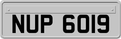 NUP6019