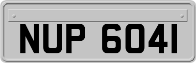 NUP6041