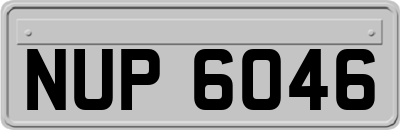 NUP6046