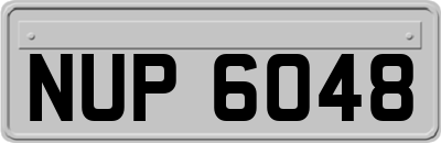 NUP6048