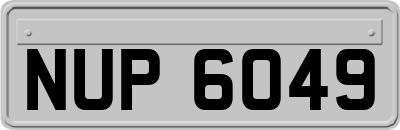 NUP6049