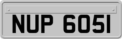 NUP6051