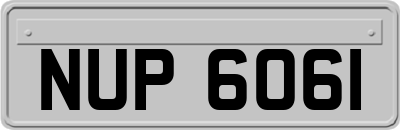 NUP6061