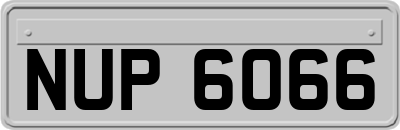 NUP6066