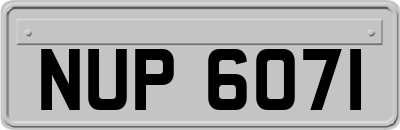 NUP6071