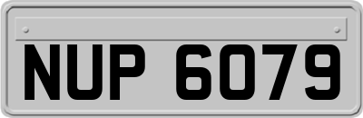 NUP6079