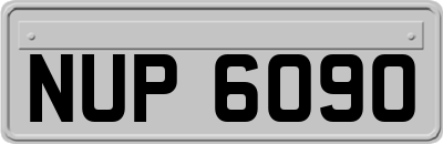 NUP6090