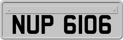 NUP6106