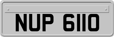 NUP6110
