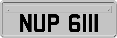 NUP6111