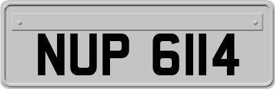 NUP6114