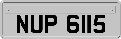 NUP6115