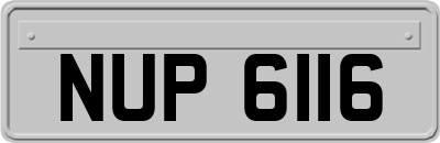 NUP6116