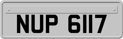 NUP6117