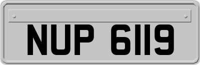 NUP6119