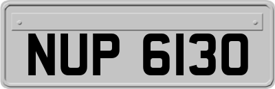NUP6130