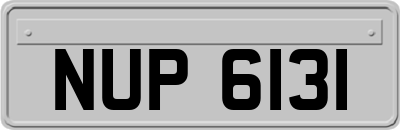 NUP6131