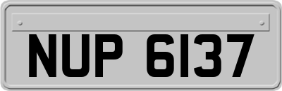 NUP6137