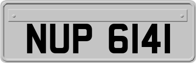 NUP6141
