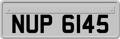 NUP6145