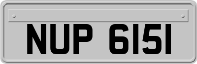 NUP6151