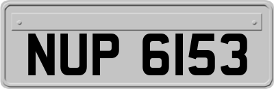 NUP6153