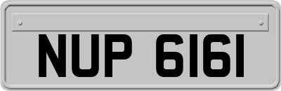 NUP6161