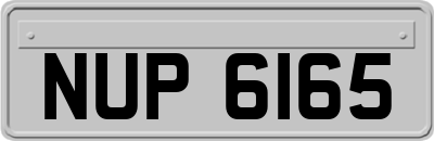 NUP6165