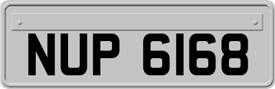 NUP6168
