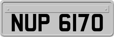 NUP6170