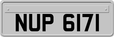 NUP6171