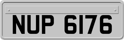 NUP6176