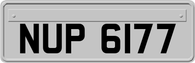 NUP6177