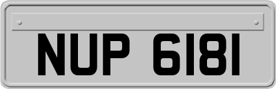 NUP6181